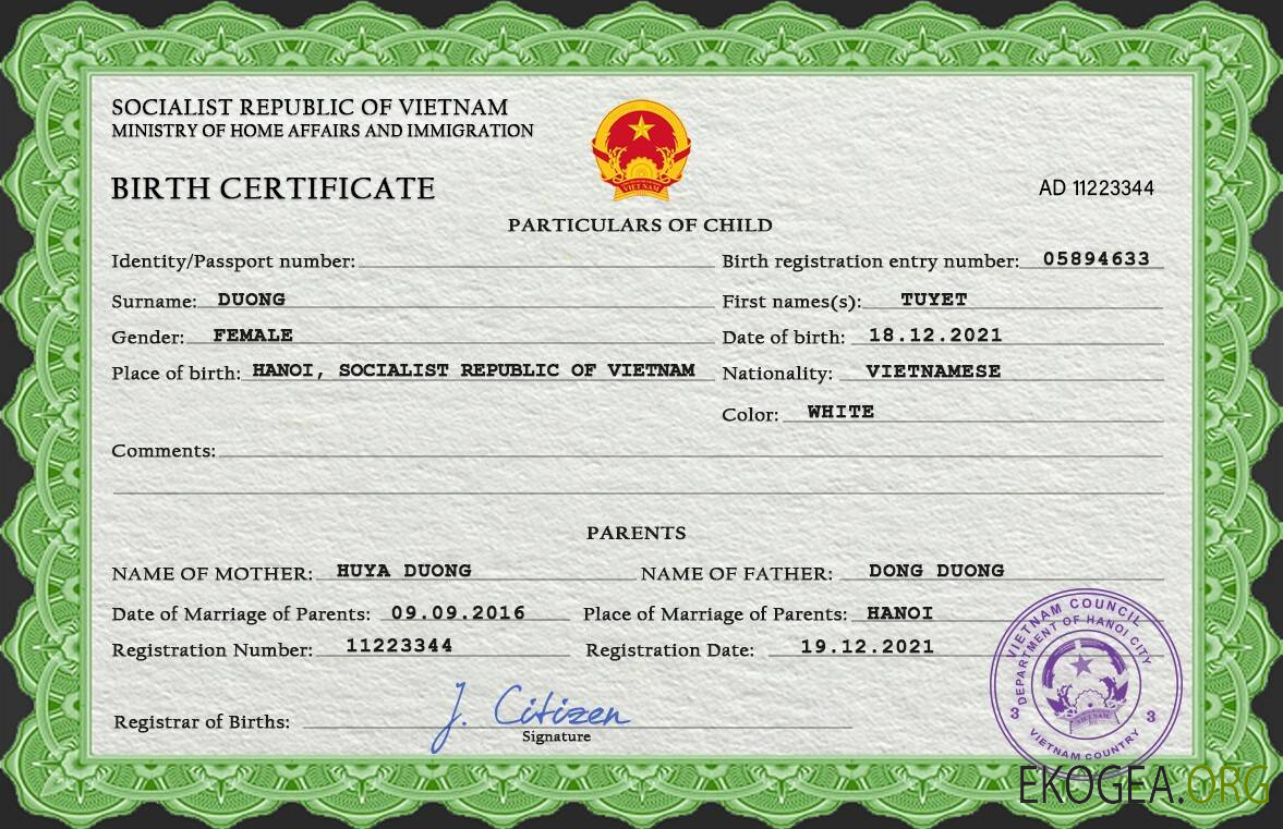 Modèle PSD d'acte de naissance au Vietnam
